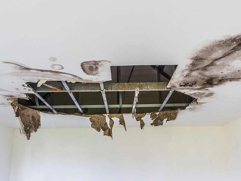 roof water leaks